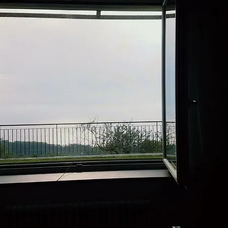 Paradiso * 카모글리