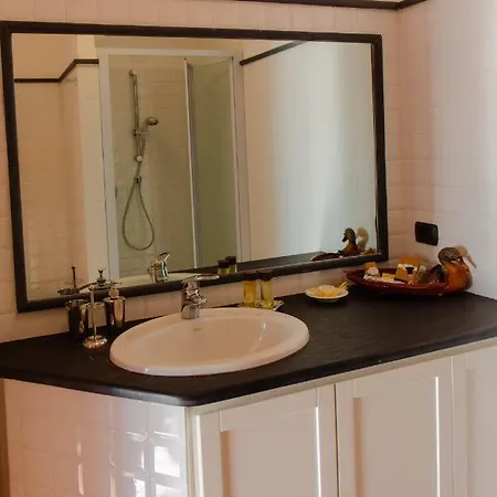 Paradiso 카모글리