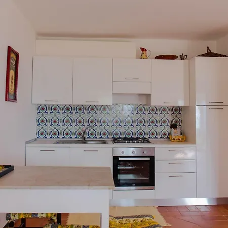 Paradiso 카모글리