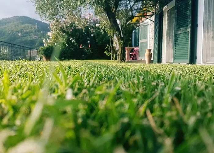 Paradiso Dom wakacyjny