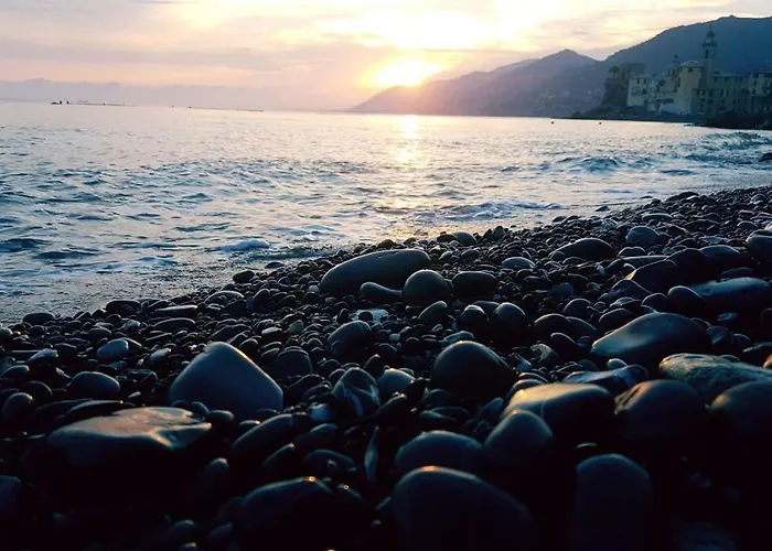 Paradiso Semesterbostad